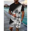 Hawaiian Style 3D Printed Men's T-shirt And Shorts Set Summer Everyday Men's Short Sleeves Outdoor Beach Men's Casual Shorts