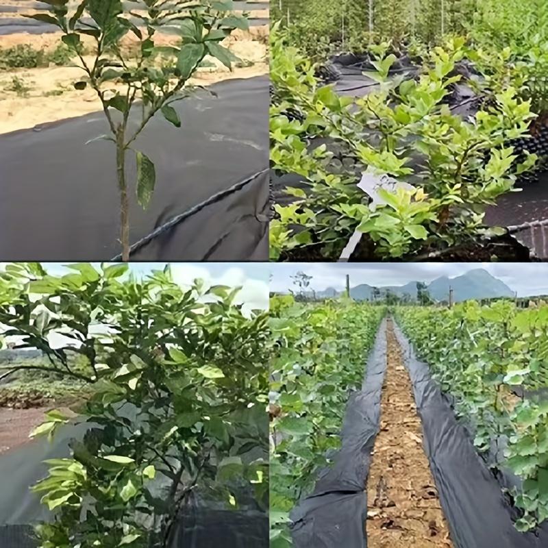 1 шт., Ткань для садоводства и гражданского строительства, Водопроницаемый двор, Ткань для защиты от травы, Камень, Цветочный пруд, Разделитель почвы,