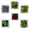 East Leaf Wall Greenery Faux Greenery Wall Hanging Faux Houseplant Set with Succulents for Display and Interior Decoration (6 Pieces)