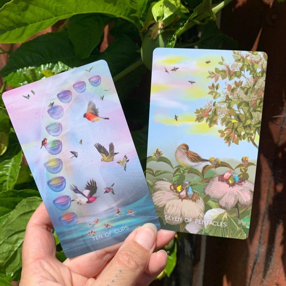 The Meraki Tarot 10.3*6cm Inspired By The Magic of Nature and Animals 79 Pcs Cards Based On Rider Waite System