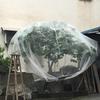 Garden Protect Insect Animal Netting Vegetables Crops Plant Mesh Bird Net