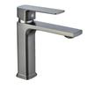 short gunmetal grey with 60cm hose