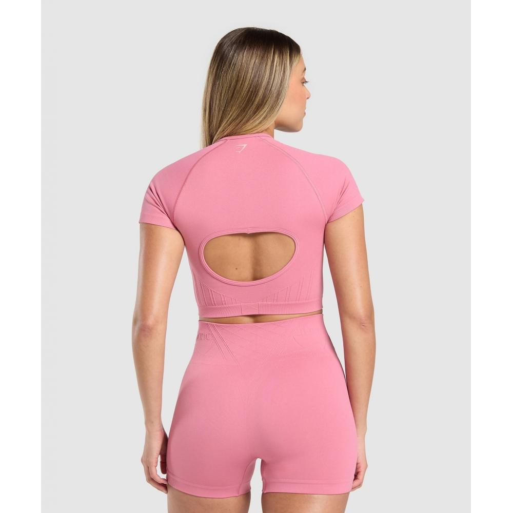 Gymshark Корсет бесшовный укороченный топ Sunset Pink B3c4w Kcll