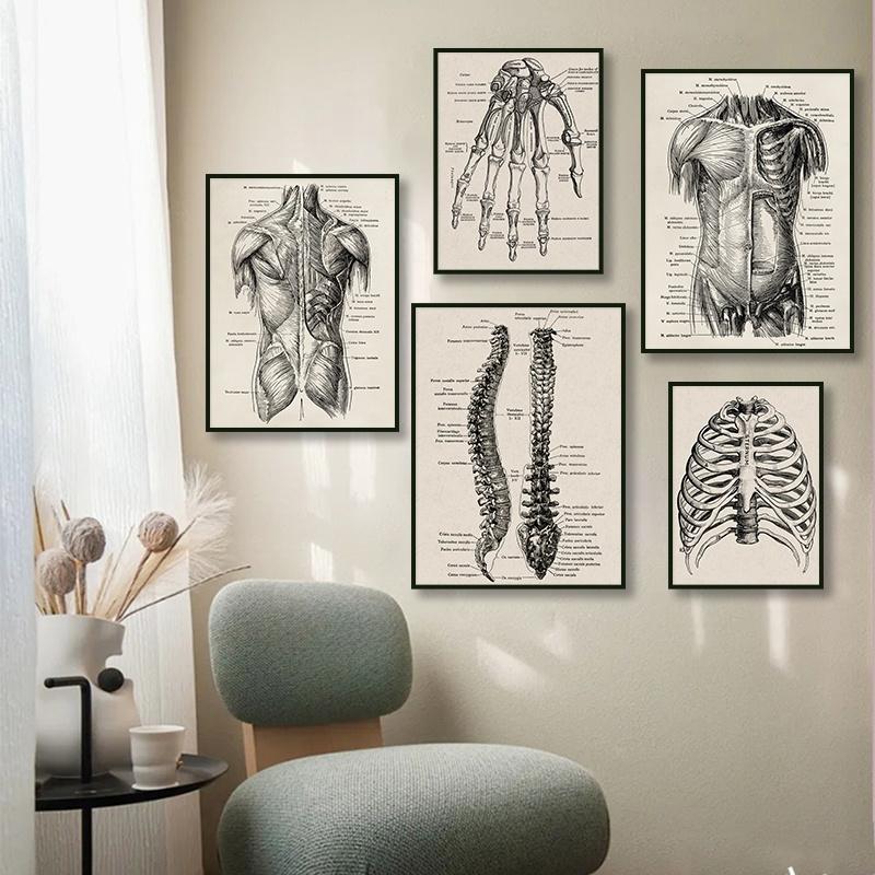 Vintage Human Anatomy Artwork Medical Wall Picture Muscle Skeleton Poster Canvas Art Print Education Hospital Pharmacy Paintings