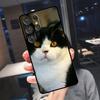 Чехол для телефона Samsung Galaxy S25 Ultra S24 S22 S21 S23 Plus S20 FE S9 S10 S24 FE с изображением британской короткошерстной кошки