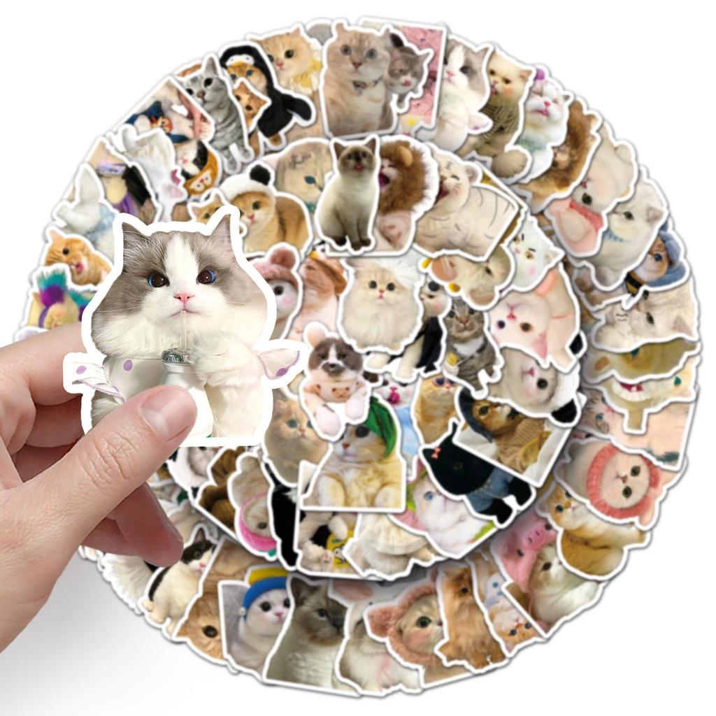 100 Cute Kitten Cartoon Stickers: Decorate Cups, Phone Cases, Guitars & More