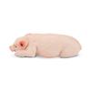 Toymany Simulation Sleeping Pink Piglet Farm Animal Model Toy Mini Figures Dolls Action Figurines Toys Children Gift Cake Decora