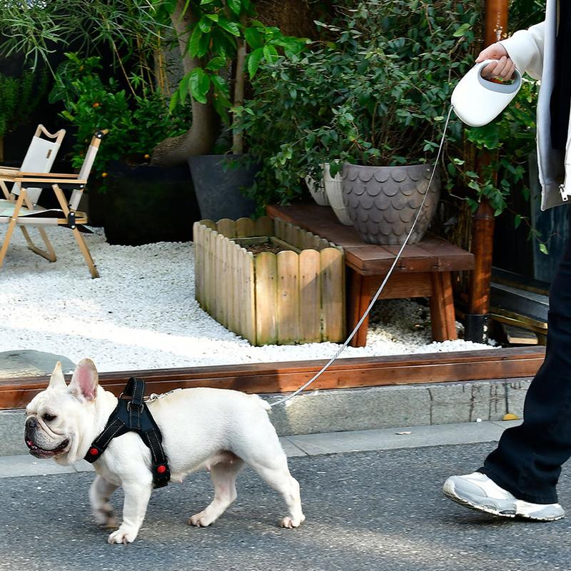Неспутывающийся выдвижной поводок для собак, прочный, не спутывающийся, против побега, для домашних собак, переносной поводок для прогулок, товары для животных