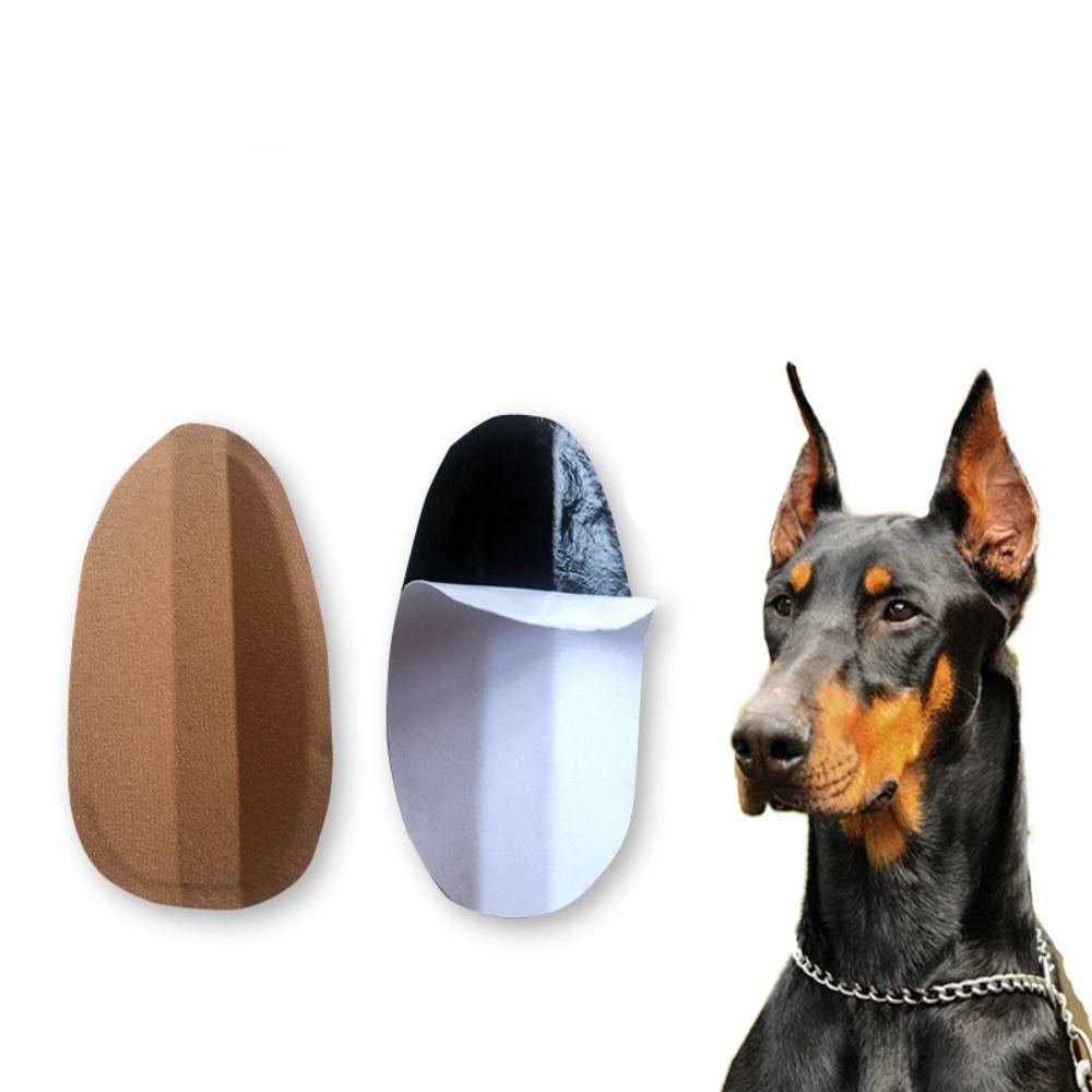 Correct Ear Erector Doberman Dog Supplies Ear Care Tools Dog Ear Stand Up Stickers Dog Ear Erector