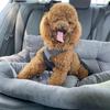 Large Dog Car Seat Cushion & Bed - Double Use Pet Nest