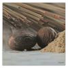 Canvas print Spices