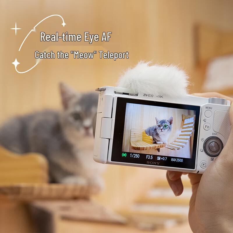 Sony Vlogging-камера ZV-E10 APS-C (Китайская версия)