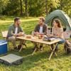 Camping Table 117 x 60 cm Aluminum Folding Table with Roll-up Tabletop Wood-look Carrying Bag Waterproof