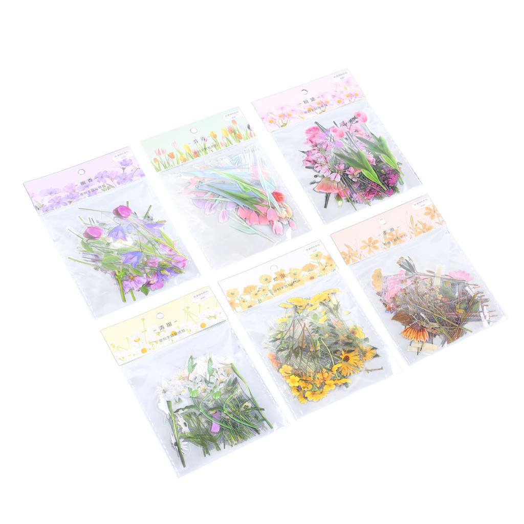 6 Pack Floral Stickers Set DIY Hand Crafted PET Transparent Floral Leaves Stickers for Scrapbooking