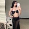 Vacation New Swimsuit Small Breasts Gather Women's Three-piece Bikini Sexy Perspective Dress Seaside Split Swimsuit