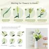 Lily Flowers Bouquet For Adults Building Set With Exquisite Packaging Box, Flowers Bouquet Botanical Collection Building