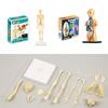 Human Body Torso Model 3D Human Body Model with Removable Part Teaching Aid STEM Toy for Classroom Schools Institutions