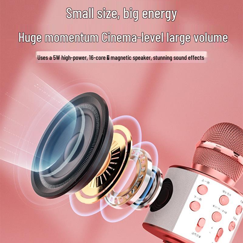 Wireless Bluetooth Home KTV Singing Microphone and Speaker - Model 858
