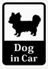 Собака в машине Чихуахуа/Папильон/Маленькие собаки Наклейка на автомобиль (магнит) (белый) s17