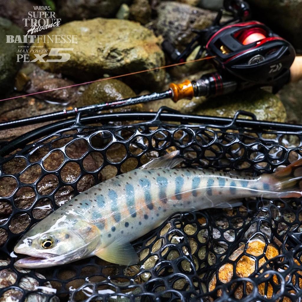 [VARIVAS] Super Trout Advance Bait Finesse Max Power PE X5 90m No.0.8