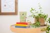 Термокружка Pikmin с вакуумной изоляцией: Специальная книга (Takarajimasha Brand Mook)