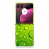 Для Motorola Razr 60 Ultra Чехол Животные Жесткий Пластик ПК Задняя Крышка Телефона Для Motorola Moto Razr60 Ultra Прозрачный Clear Coque