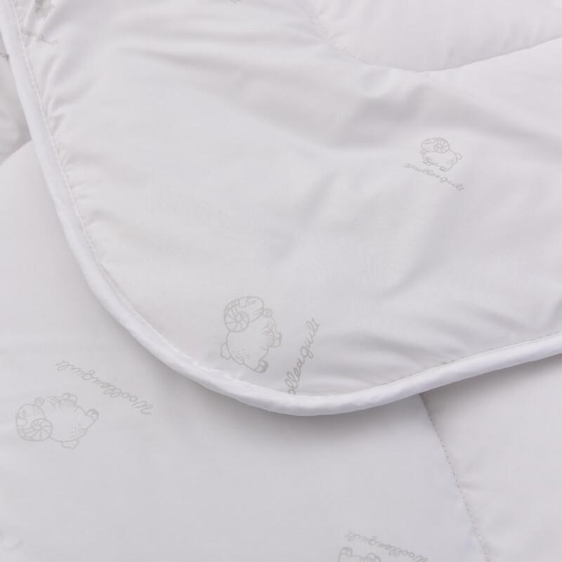 Plover Soft & Fluffy Polyester Winter Quilt