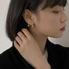 Exquisite Small 925 Silver Diamond Earrings for Women - Korean Style