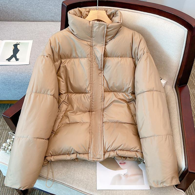 Short Collar Down Coat Jacket Coat Women 2023 Thick Warm Autumn and Winter