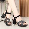 Модные Элегантные Сандалии на Толстой Платформе со Стразами Лето 2024 Блочный Высокий Каблук Женские Для Офиса Модели Танцев Модные Удобные