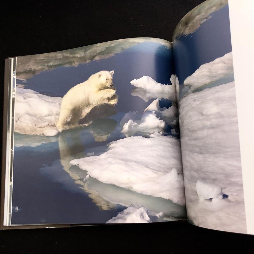 [Б/У] Коллекция фотографий Пола Никлена «Медведь»: Дух дикой природы