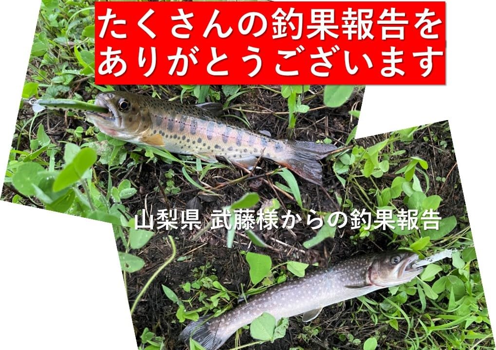 Ночная армейская рыболовная приманка форель гольян 5 цветов набор приманок легкий тонущий горный поток гольян 2.7 г