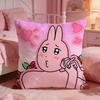 My Ffriends Rabbit Cute Cushion Cover Premium Comfort Reversible Pillow Cove Two In One Design For Any Room  Car Interior