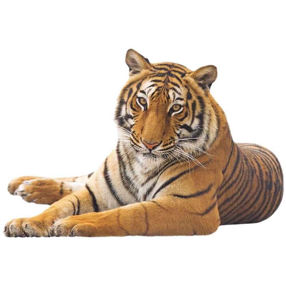Multicolor 3D Tiger Wall Sticker Self-Adhesive Mural Art Gift Cartoon Animal Stickers
