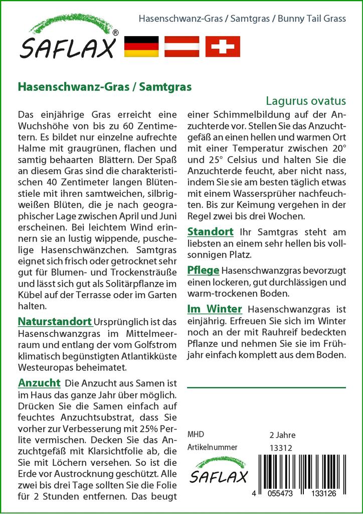 SAFLAX Garden in the Bag - Трава Банни Хвост - 100 семян - С субстратом в подходящем мешке - Lagurus ovatus