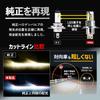HID Shop HB3 HB4 Светодиодная фара Противотуманная фара 21600cd (Кандела)