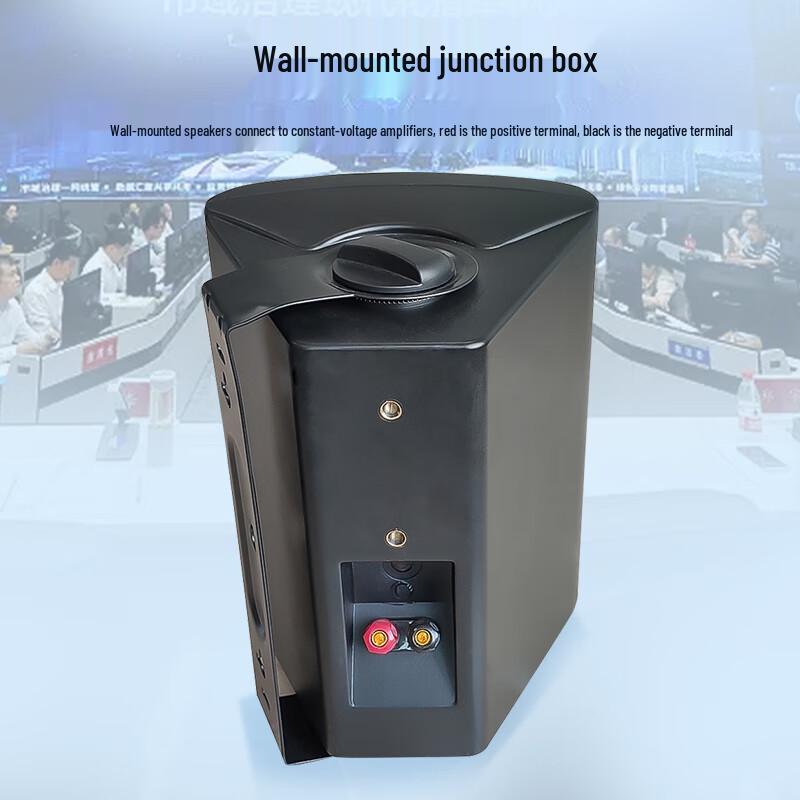 Weishu WS16-40 40W Wall-Mounted Passive Speaker