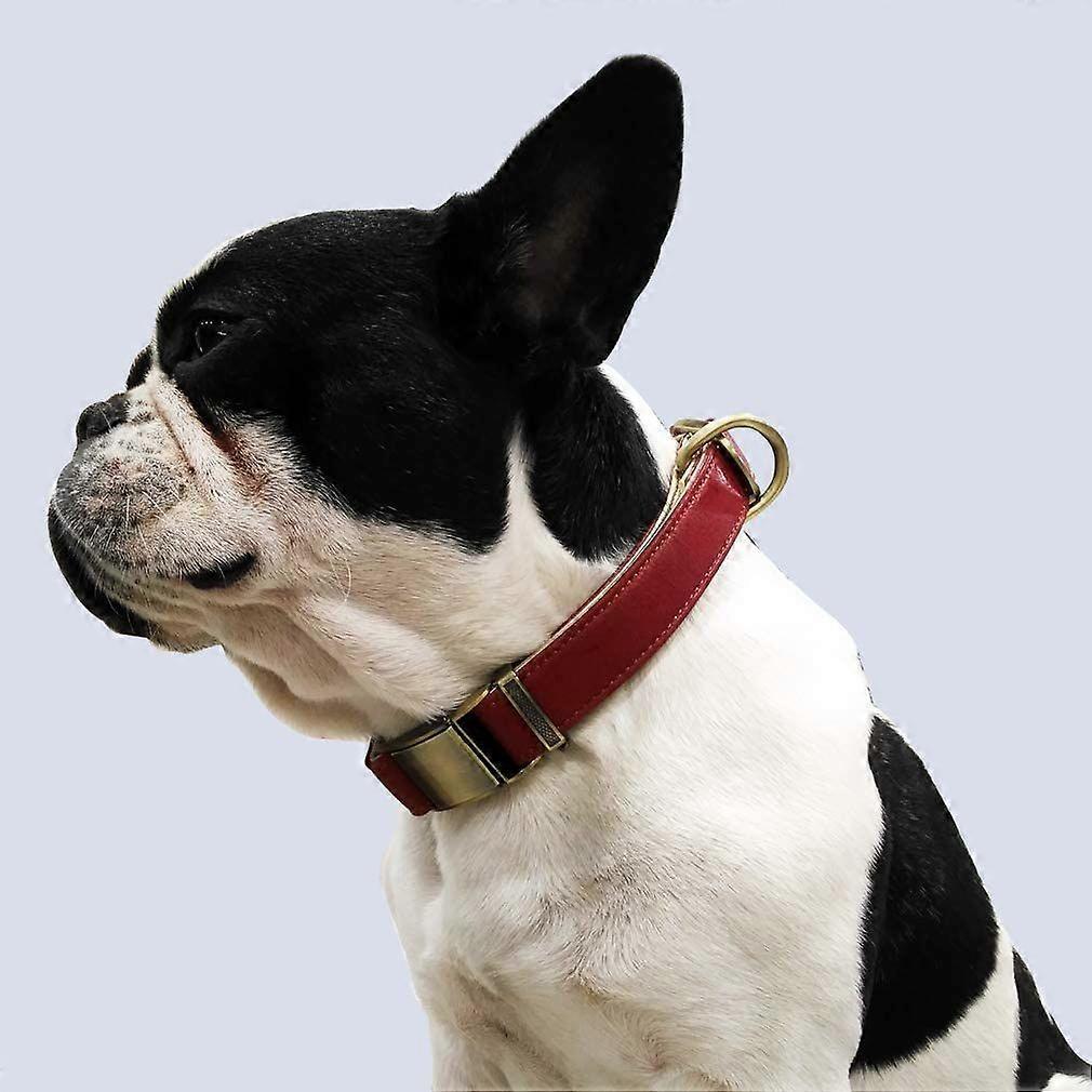 Length approximately 8.2 feet, 35-52cm neck circumference, luxurious padded leather dog collar with harness buckle for medium to large pets