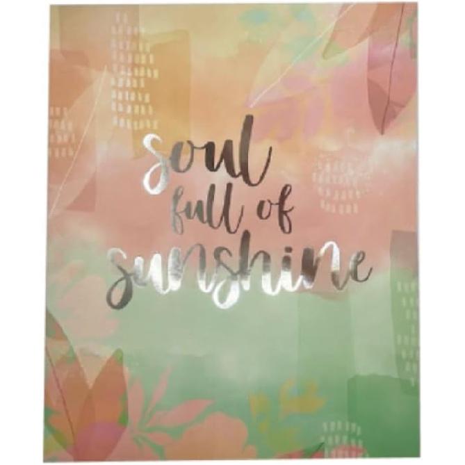 2 Pocket Folders Portfolios 3 Designer Patterns Letter Size Decorative Folders for Kids, Home, Office, School (piration)