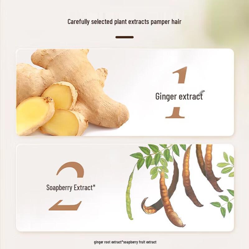 Fenghua Plant Anti-dandruff Shampoo