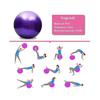 Exercise Ball Extra Thick Yoga Ball Chair for Office & Home & Gym