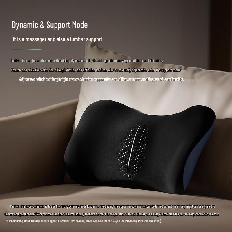 Philips Electric Lumbar Massager Cushion