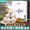 Thé Pu'er Aux écorces De Mandarine Thé Cuit écorce D'orange Verte Thé Pu'er 100g