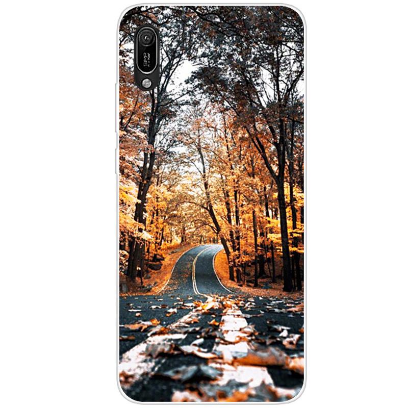 Чехол для Huawei y6 pro 2019, чехол для Huawei Y6 2019, силиконовый чехол из ТПУ, мягкий чехол для телефона Y6 2019 MRD-LX1 MRD-LX1F Y 6 pro Y6Prime, чехол