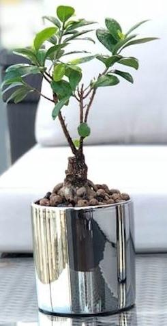 Ceramic casing, silver, cylinder, 13 cm