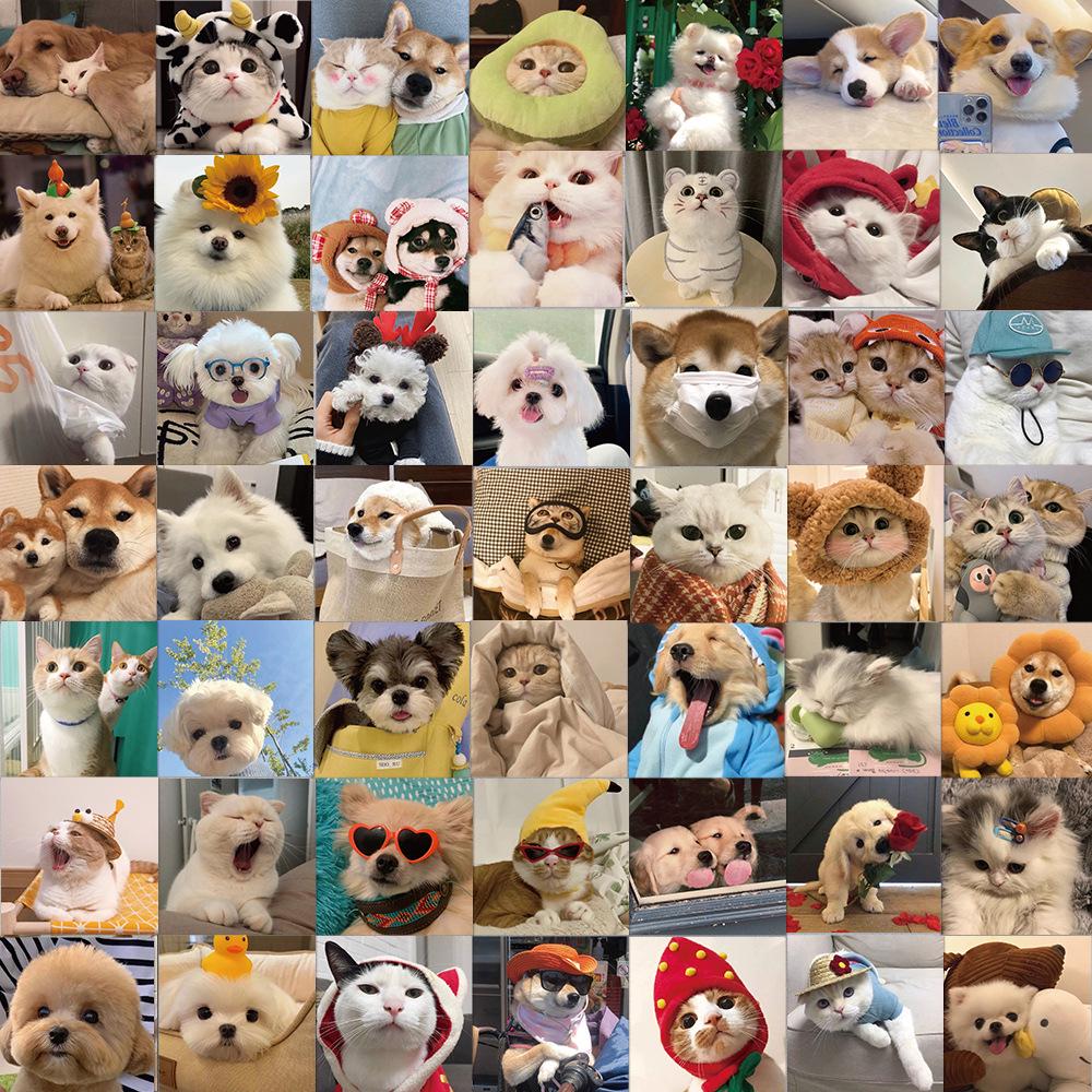 Cute Cat Cartoon Graffiti Stickers: Waterproof DIY Decorations for Notebooks & Suitcases