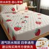 Waterproof Mattress Protector Bed Skirt Cover With Cotton Padding Breathable Twin Full Queen King Size Beds