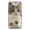 Милый чехол-котик с сердцем для iPhone 17 16 15 Pro Max 11 12 13 14 7 8 Plus SE 2020 X XR XS, мягкий, черный
