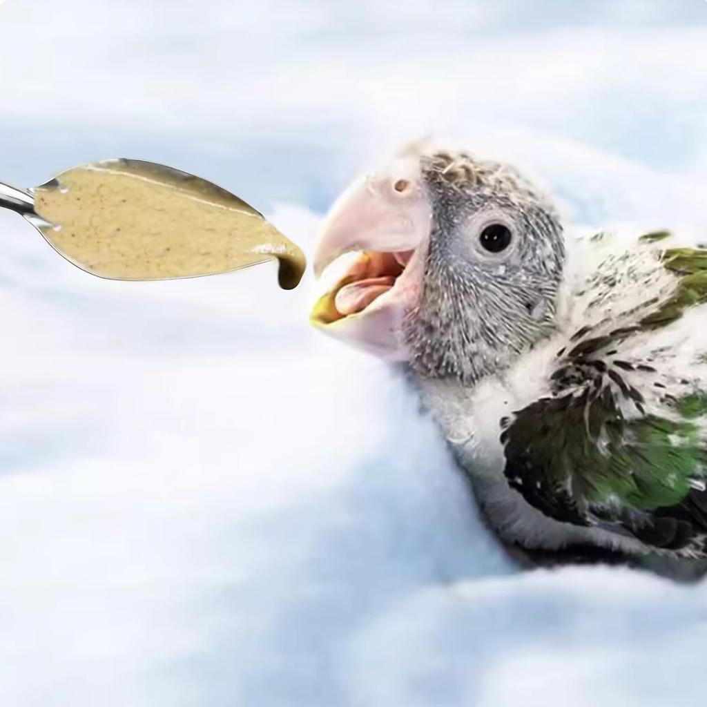 YAODHAOD 4.7" Bird Parrot Stainless Steel Metal Feeding Spoon Parrot Feeding Scoops Hand Feeding Spoons for Parrot (3PCS)