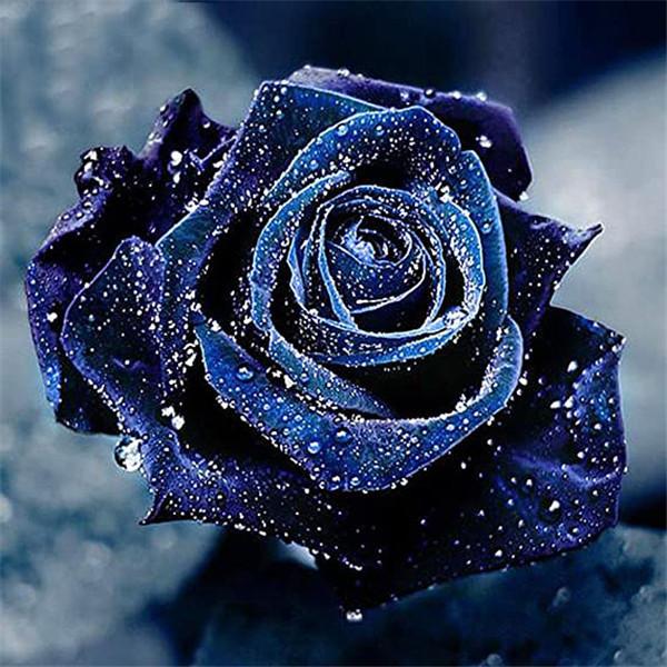 Painting New 5d Diamond Flower Arrivals Embroidery Rose Sale Rhinestones Mosaic Cross Stitch Wall Decor